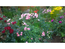 WP 20170730 10 42 49 Pro  highres.jpg