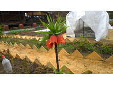 WP 20170508 11 51 09 Pro.jpg