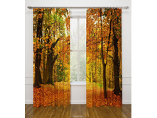 ��������� ������� ��������, ��-07458-��-��-001, 16 ��.jpg