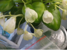 �-����������