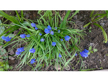 WP 20170521 16 16 23 Pro.jpg