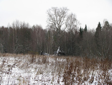 IMG 8023.JPG