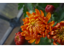 ��������� ���������� "������ ������� "