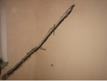 �����������-��