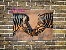 01191 "�����������"