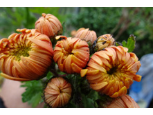 ��������� ���������� "����� ����� "