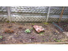 WP 20170508 12 00 26 Pro.jpg