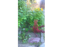 WP 20170628 19 19 28 Pro.jpg