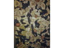 500x500.����� �������.jpg