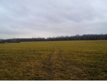 P 20171118 092017.jpg