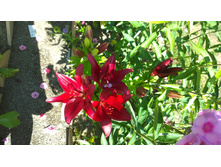 WP 20170804 09 53 06 Pro.jpg