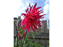 IMG 20170917 153107.jpg