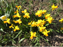 IMG 20170501 151840.jpg