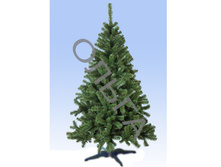 ���\�������: 151-703 ���� ����� 120 �� /�����/ 1 260,00 ���. �����: �����