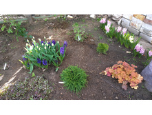 WP 20170521 16 16 03 Pro.jpg