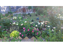 WP 20170716 18 42 16 Pro.jpg