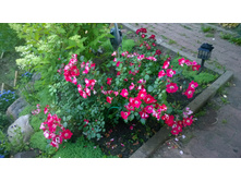 WP 20170728 20 22 12 Pro.jpg