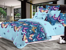 PK169 ������.jpg