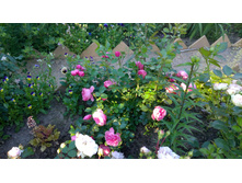 WP 20170716 18 44 31 Pro.jpg