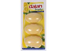Dalan ���� ����� 3�� 907 ����� 62,19.jpg