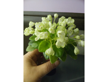 �-����������