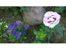 WP 20170716 18 47 07 Pro.jpg