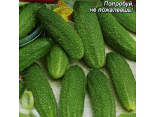 ������ ����� F1 25,00
