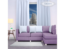 ���� ��������