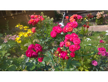 WP 20170729 11 40 07 Pro.jpg