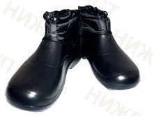 ������ "���" �������, ������� � ������������� �����, � ���������� - 220 ���