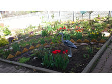 WP 20170521 16 14 46 Pro.jpg