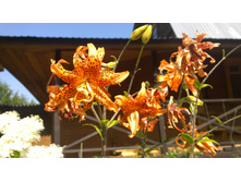 WP 20170820 09 44 56 Pro.jpg