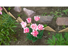 WP 20170527 09 46 04 Pro  highres.jpg