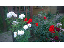 WP 20170728 20 27 14 Pro.jpg