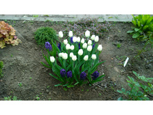 WP 20170527 09 48 09 Pro  highres.jpg