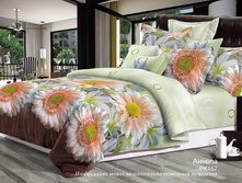 PK157 ������.jpg