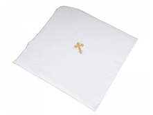 ������� ����������� (100�120��)