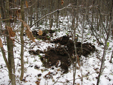 IMG 8058.JPG