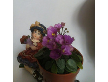 ��-������ ������