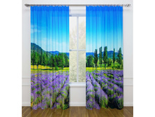 07044 ��������� ���� � ��������.jpg