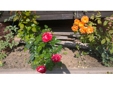 WP 20170820 09 39 42 Pro.jpg