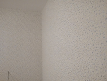 P70412-192143.jpg
