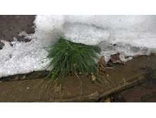 WP 20170319 12 34 58 Pro.jpg