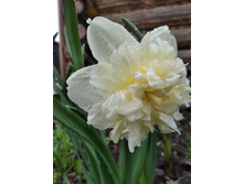 IMG 20170509 134649.jpg