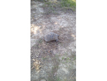 2017-10-23 14-02-30.JPG