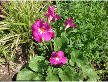 ����������