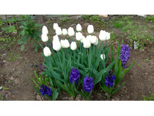 WP 20170527 09 47 37 Pro.jpg