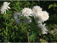 �������� ��������