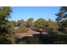 2017-10-22 09-17-07.JPG