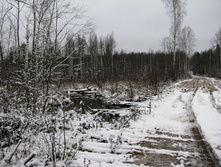 IMG 8026.JPG